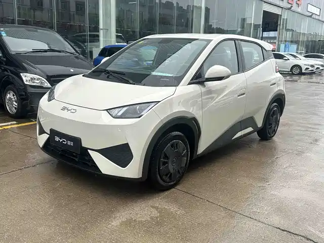 2026 BYD Seagull