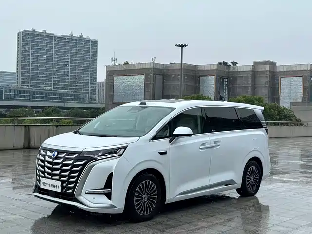2025 Denza D9