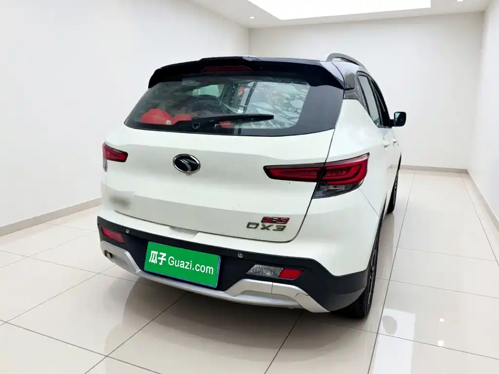Soueast DX3 — миниатюра 4