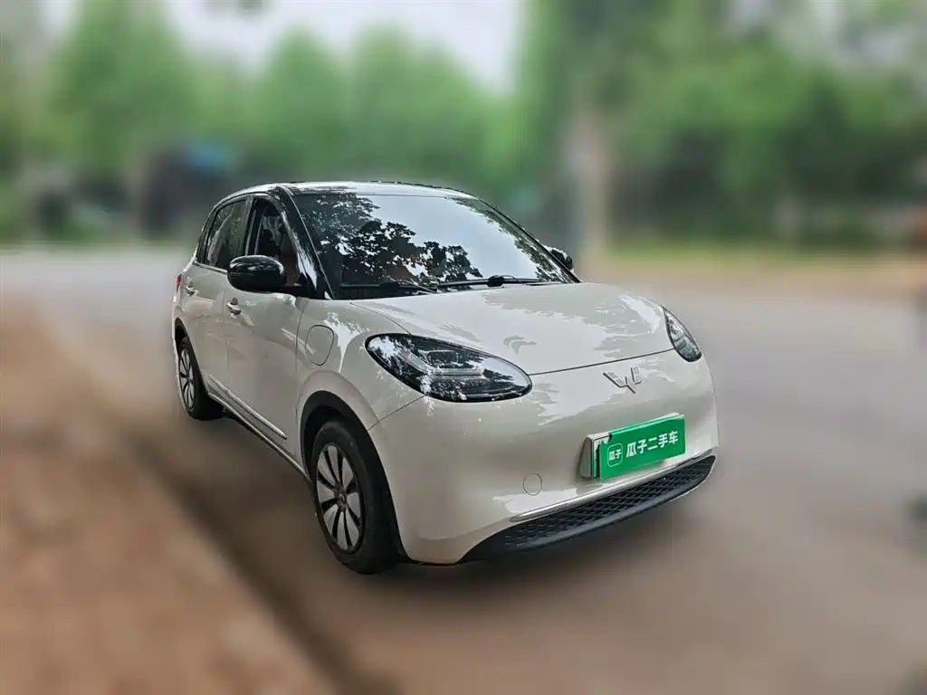 Wuling Binguo 2024 333km Enjoy