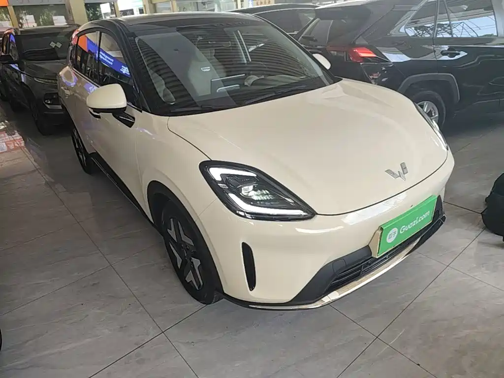 Wuling BinguoS S 2025 325km Flagship