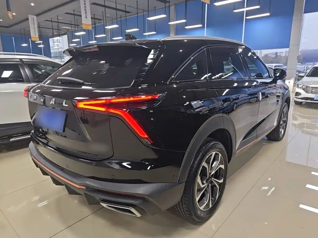 Haval Shenshou — миниатюра 7