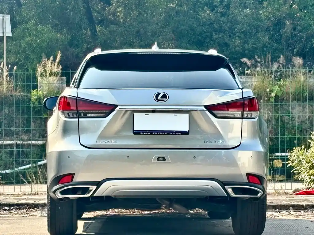 LEXUS RX