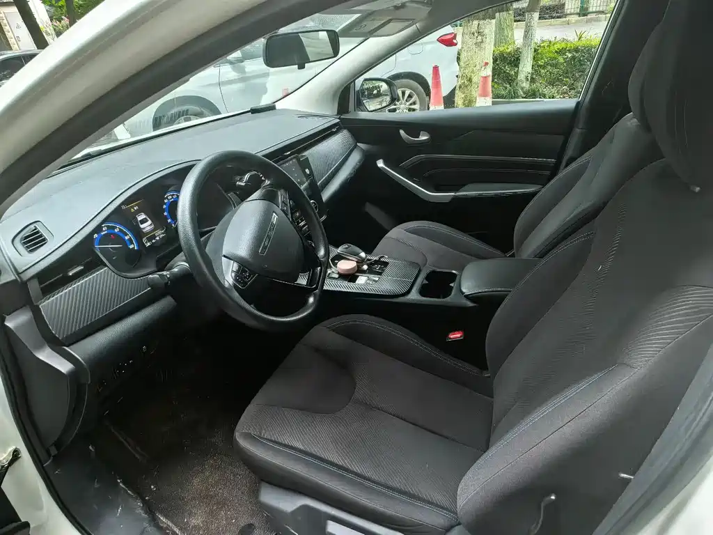 Venucia D60EV 2023 PLUS Comfort SI
