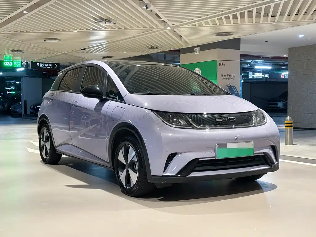 BYD Dolphin 2023 420km Fashion