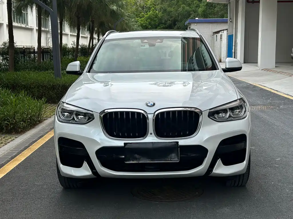 BMW X3 2020 xDrive30i Lead M Sport