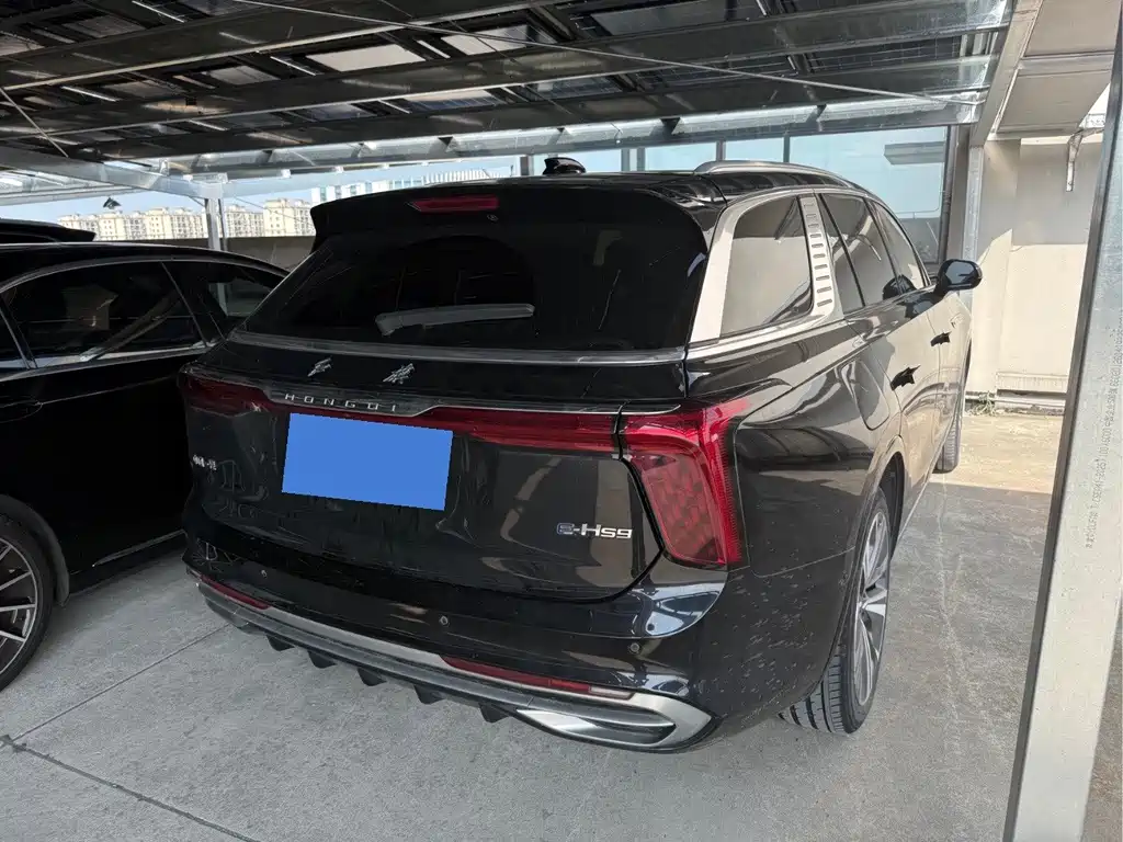 Hongqi Hongqi E-HS9 — миниатюра 12