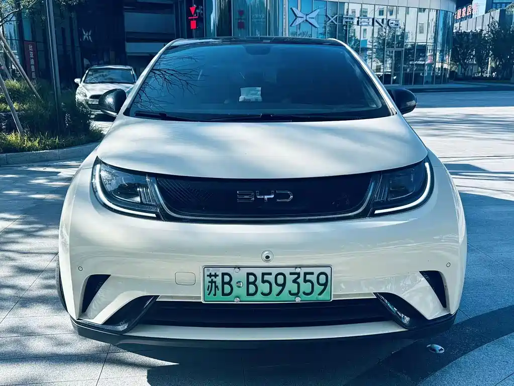 BYD Dolphin 2023 420km Fashion