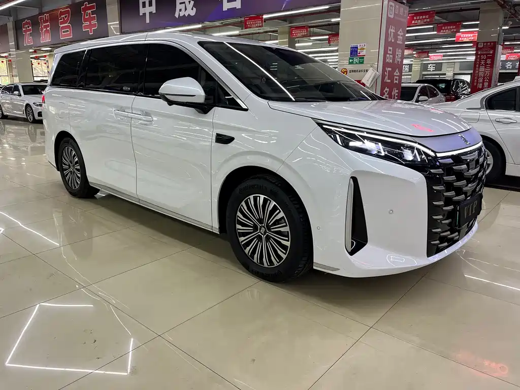 BYD Xia — миниатюра 3