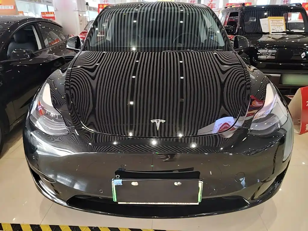 Tesla Model Y — миниатюра 3