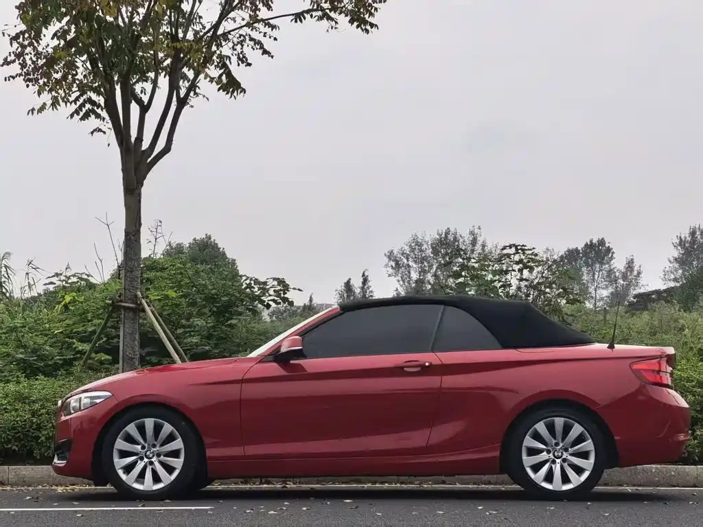 BMW 2 Series (Import) — миниатюра 9