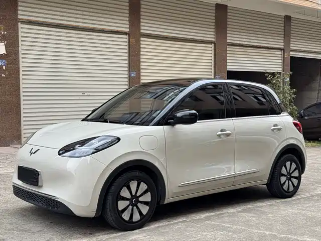 WULING WULING BINGGUO 2024