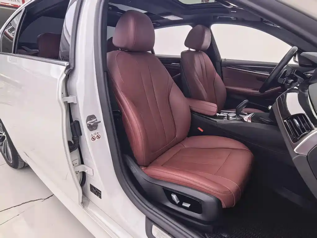 BMW 5 Series 5 2020 530Li Premium M Sport