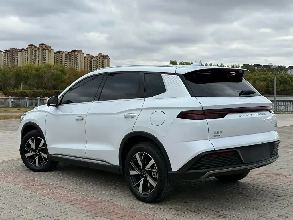 BYD Pro New Energy — миниатюра 7
