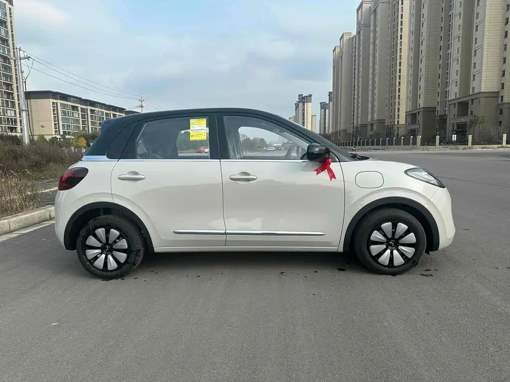 Wuling Binguo 2025 333km Enjoy