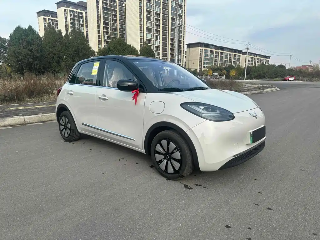 Wuling Binguo 2025 333km Enjoy