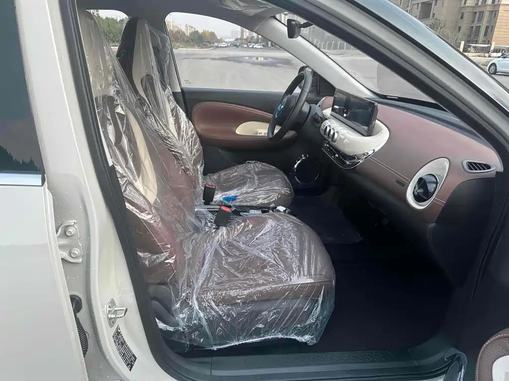 Wuling Binguo 2025 333km Enjoy