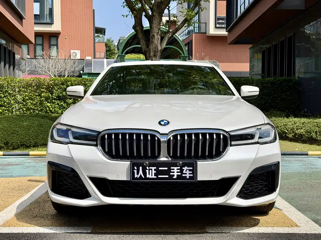 BMW 5 Series 5 2021 530Li Lead M Sport