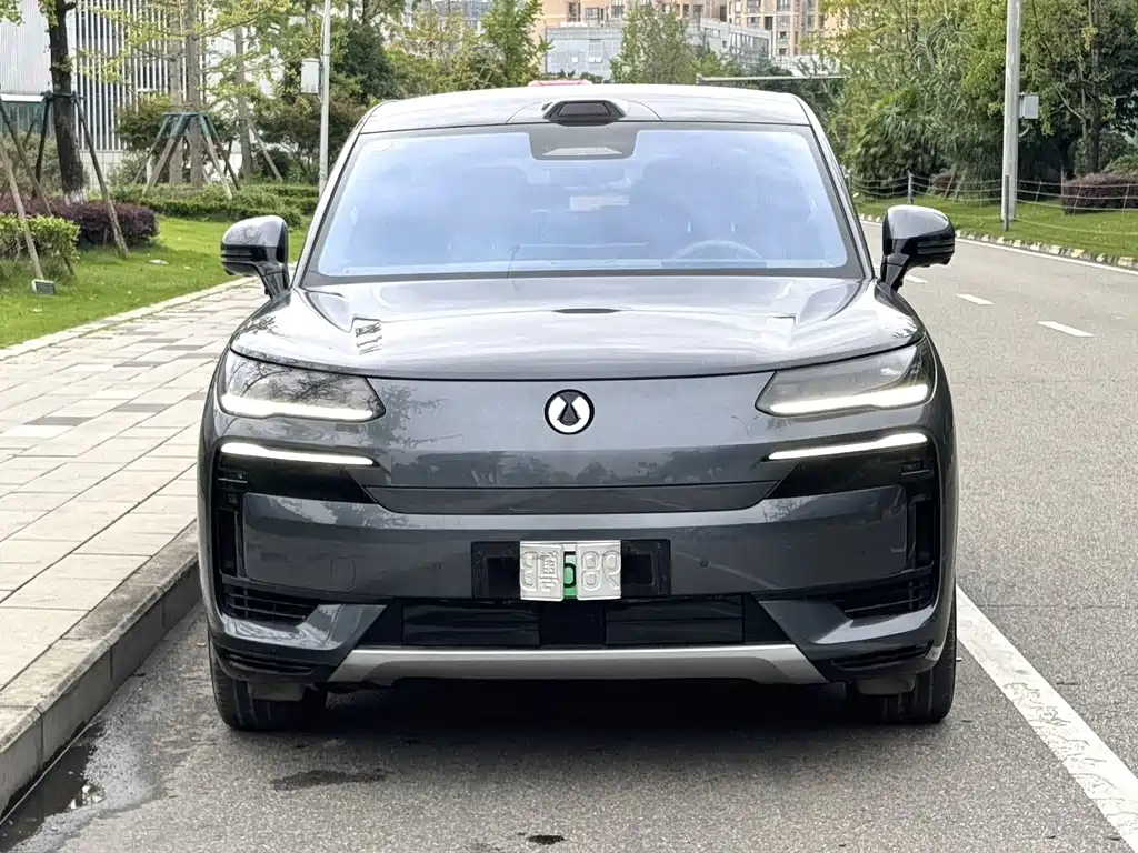 Denza Denza N9 — миниатюра 2