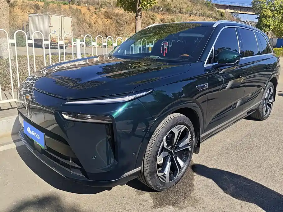 WEI PAI WEI BRAND BLUE MOUNTAIN