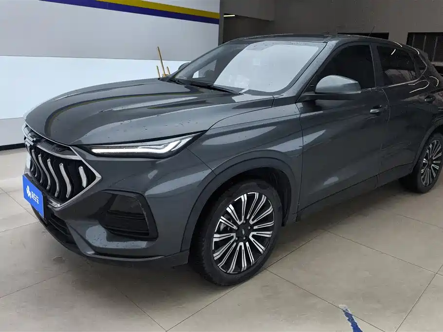 Купить Oshan Oushang X5