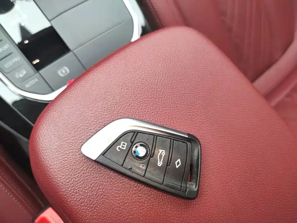 BMW X3 2022 xDrive30i Lead M