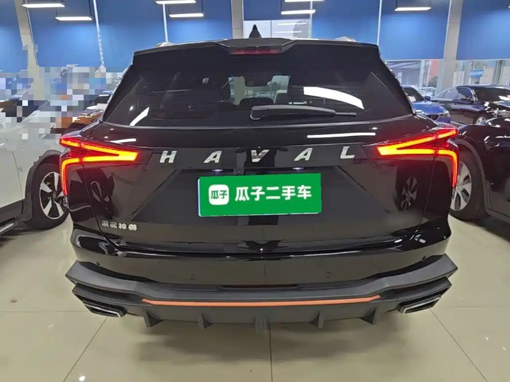 Haval Shenshou — миниатюра 6