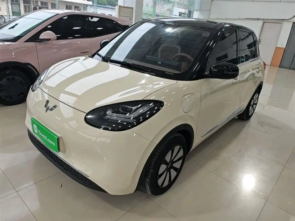 Wuling Binguo 2025 333km