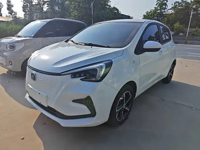 2020 Changan Benni EC/EV