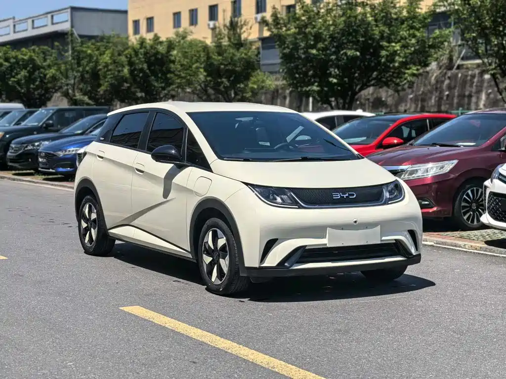 BYD Dolphin 2024 420km Freedom