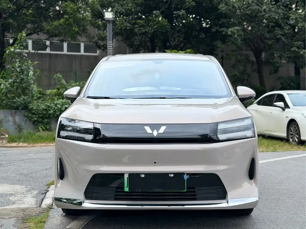 Wuling 730 2025 500km Luxury