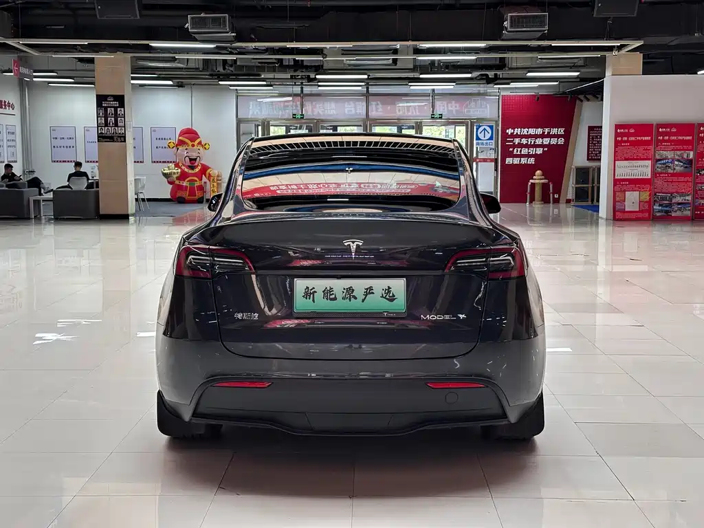 Tesla Model Y — миниатюра 5