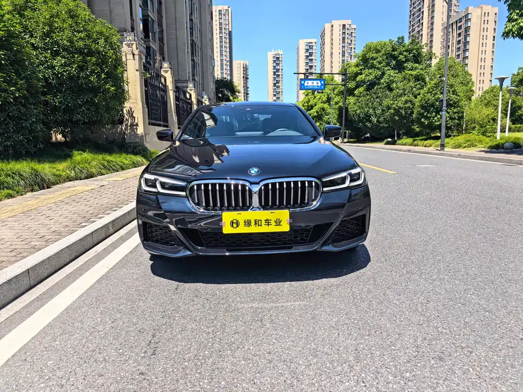 BMW 5 Series — миниатюра 2