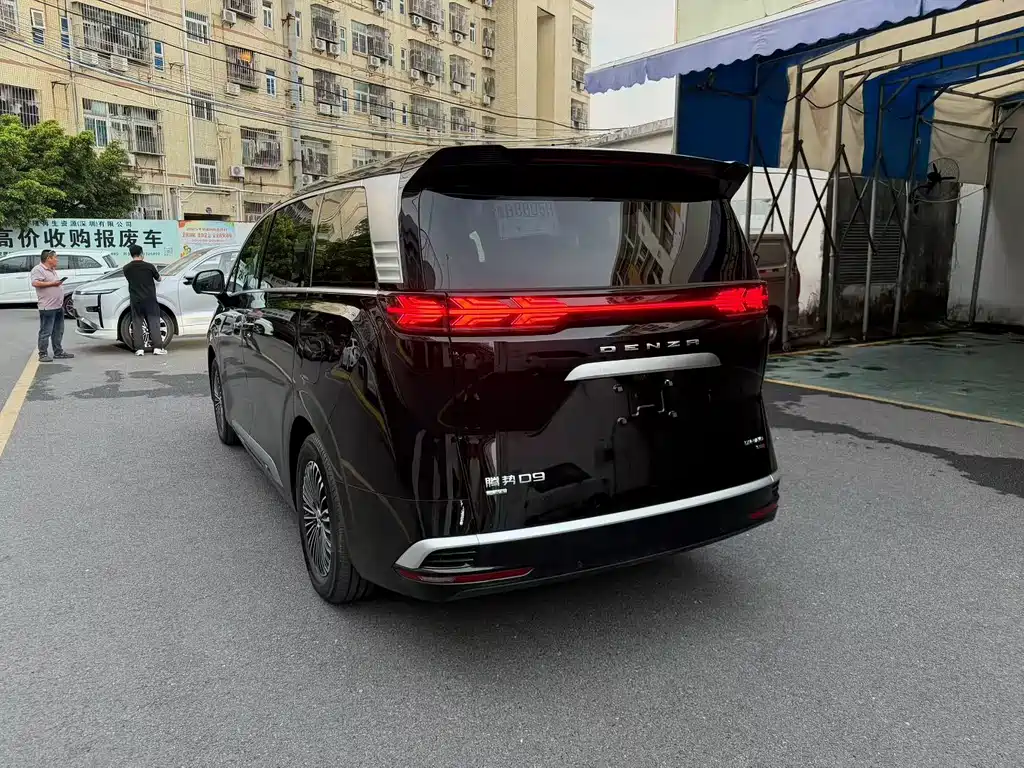 Denza Denza D9 — миниатюра 7