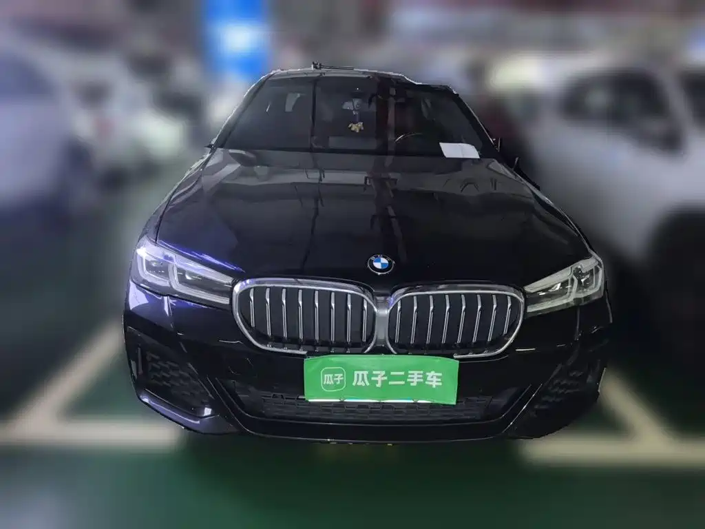 BMW 5 Series — миниатюра 2