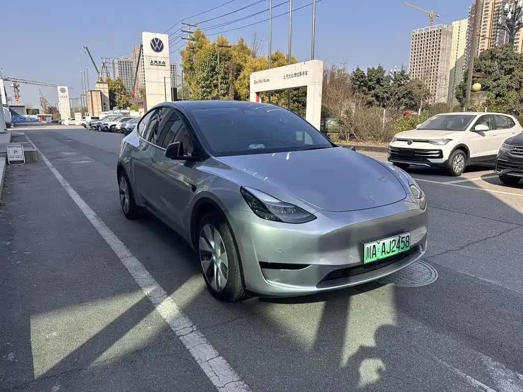 Tesla Model Y — миниатюра 2