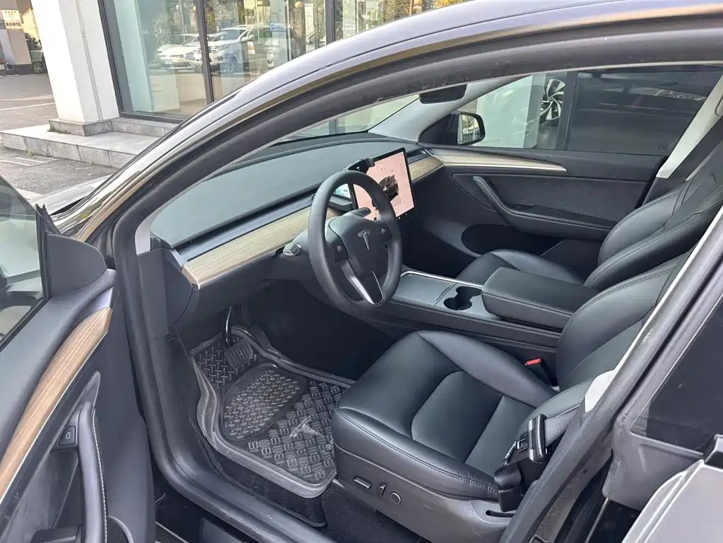 Tesla Model Y — миниатюра 15