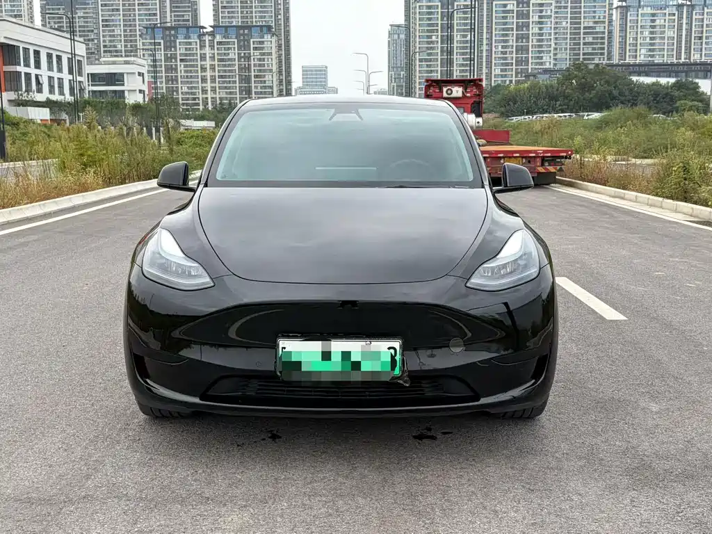 Tesla Model Y — миниатюра 2