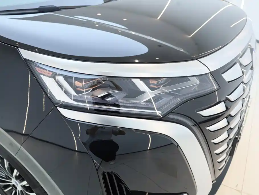 Denza Denza D9 — миниатюра 12
