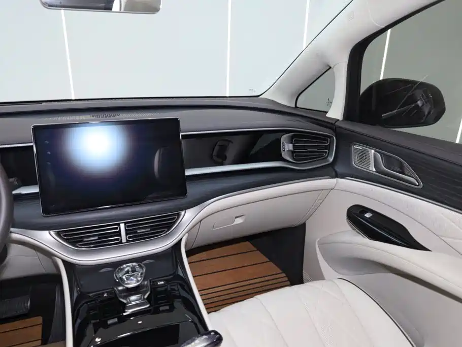 Denza Denza D9 — миниатюра 29