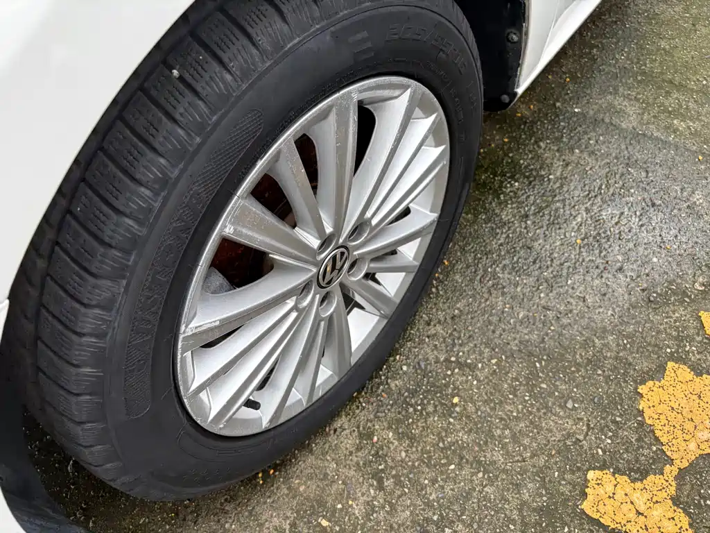 Volkswagen Gran Lavida — миниатюра 4