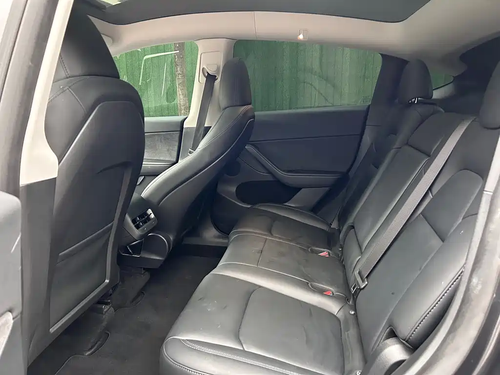 Tesla Model Y — миниатюра 6