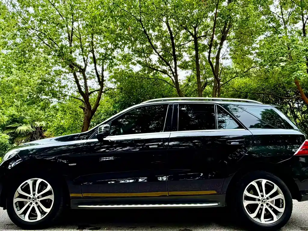 Mercedes-Benz GLE 2019 GLE 320 4MATIC