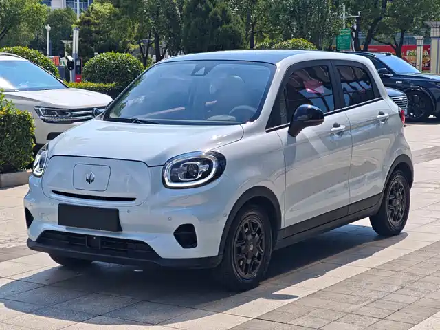 2023 Leapmotor T03