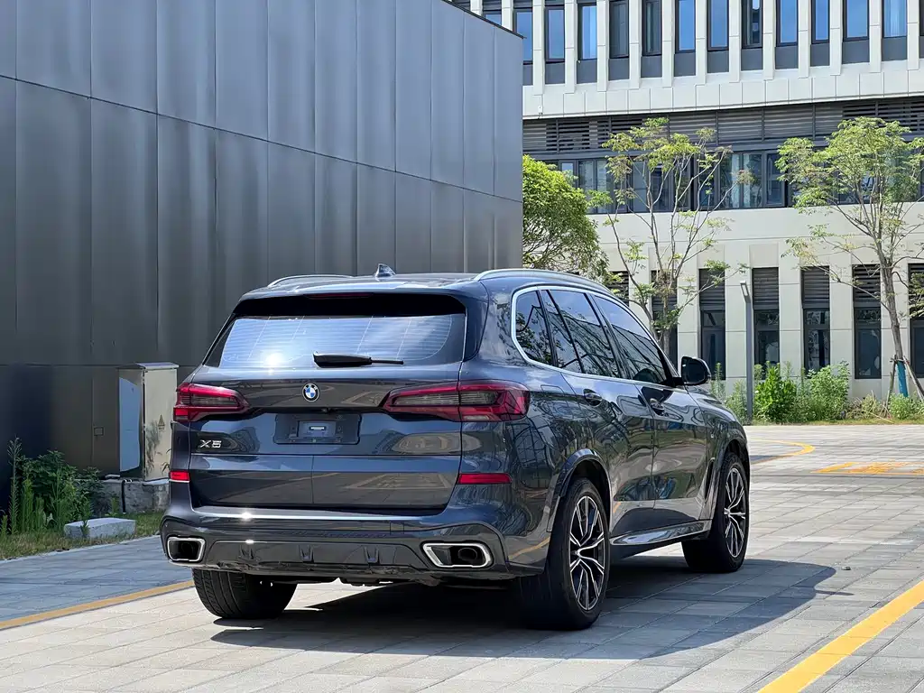 BMW X5 (Import) — миниатюра 6