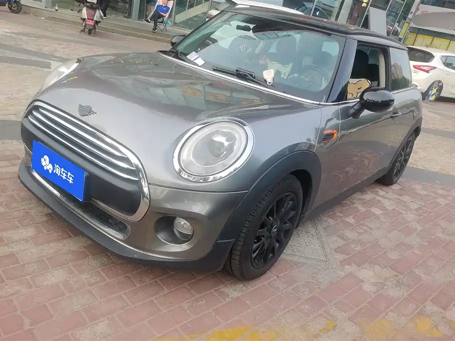 Mini Mini 2018