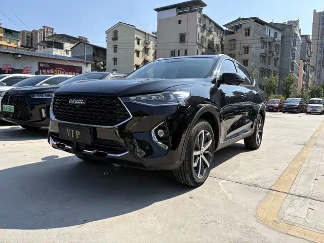 2019 Haval F7