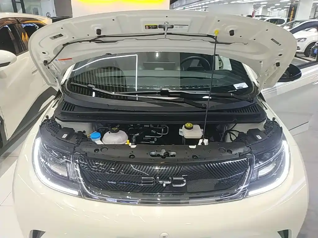 BYD Dolphin — миниатюра 20