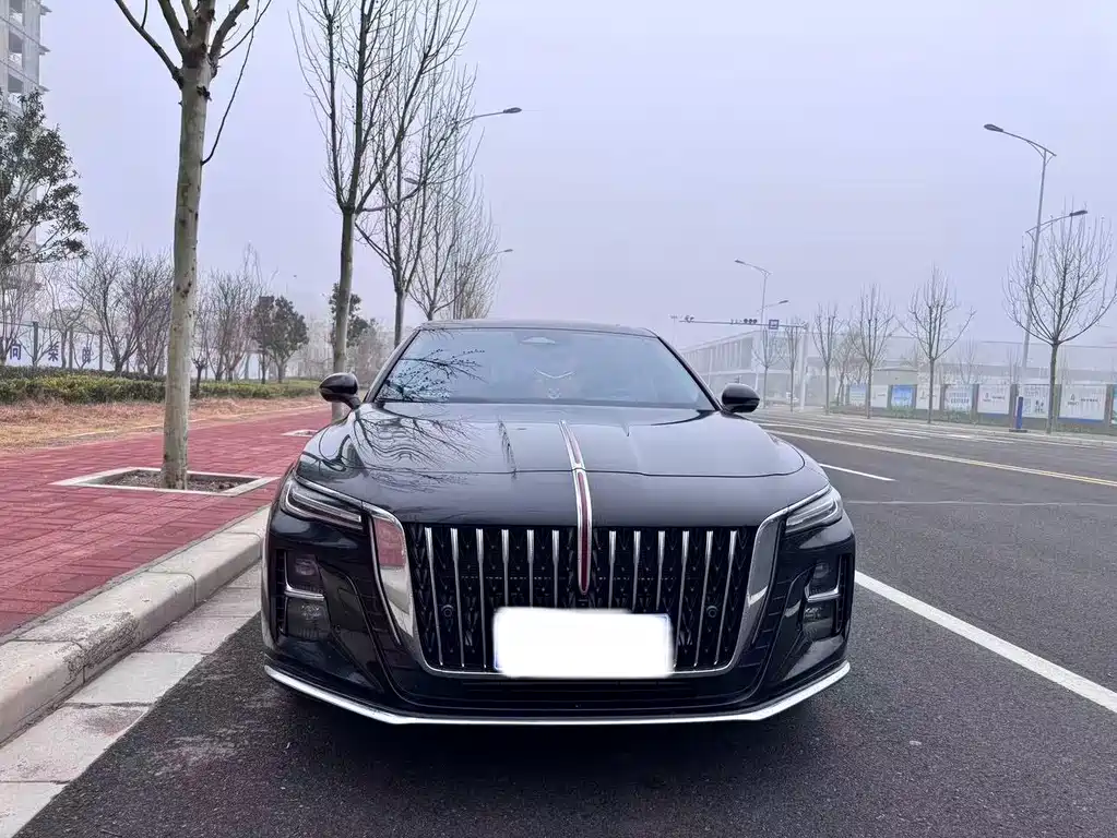 Hongqi H5 2025 2.0T AT