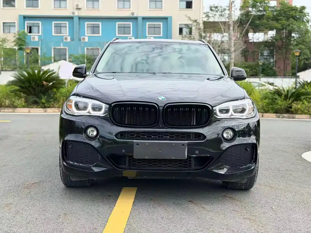 BMW X5 (Import) — миниатюра 2